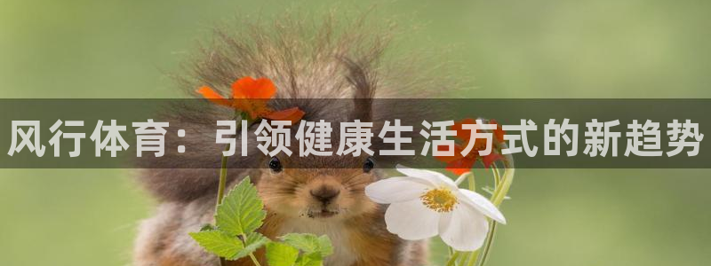 JJB竞技宝官网下载软件:风行体育:引领健康生活方式的新趋势