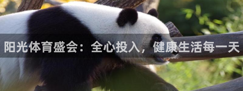 海南JJB竞技宝官网下载发展怎么样:阳光体育盛会:全心投入,