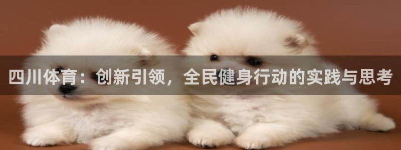 JJB竞技宝官网下载招商电话号码是多少:四川体育:创新引领,