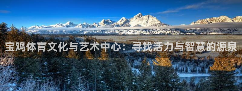 JJB竞技宝官方正版app娱乐:宝鸡体育文化与艺术中心:寻找