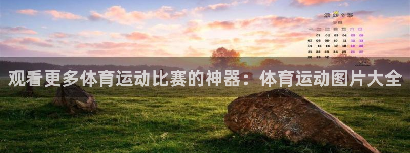 JJB竞技宝官方正版app新能源:观看更多体育运动比赛的神器